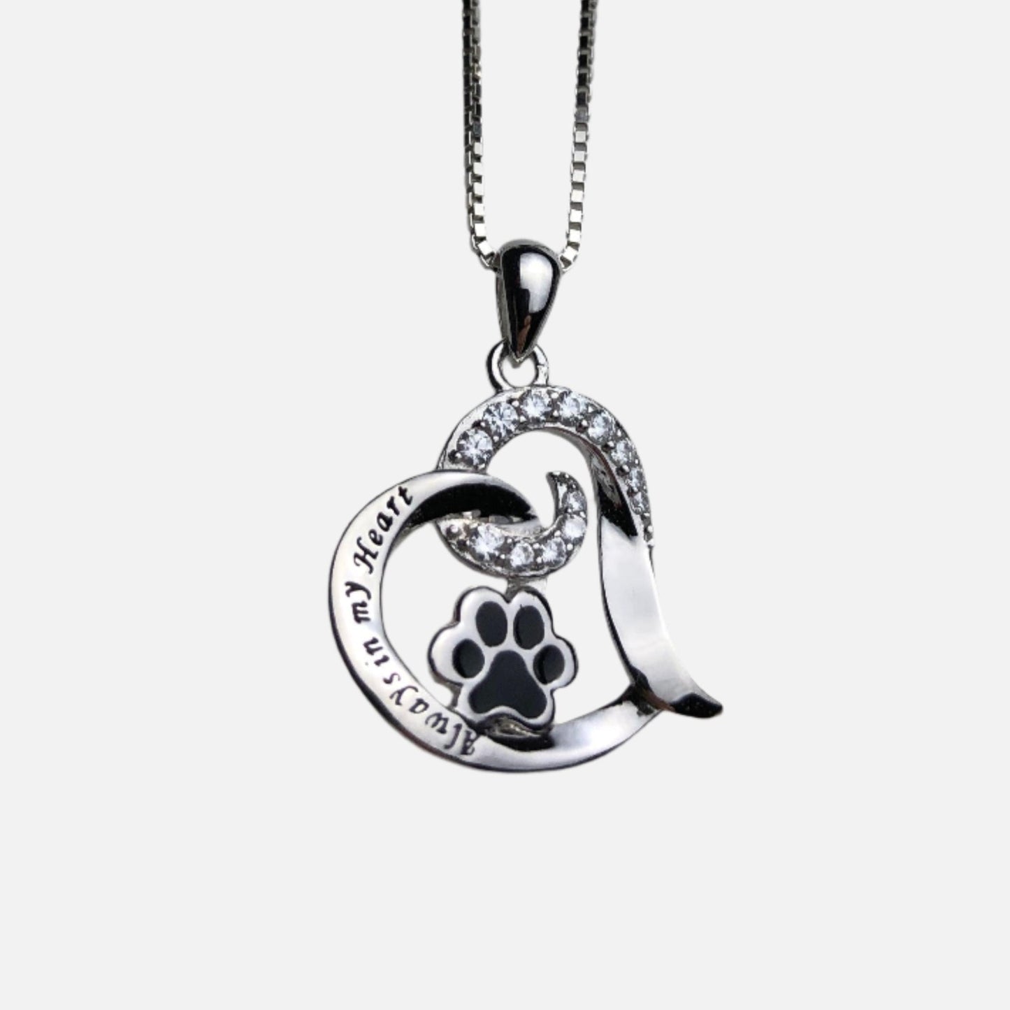 Collar Conmemorativo para Perro