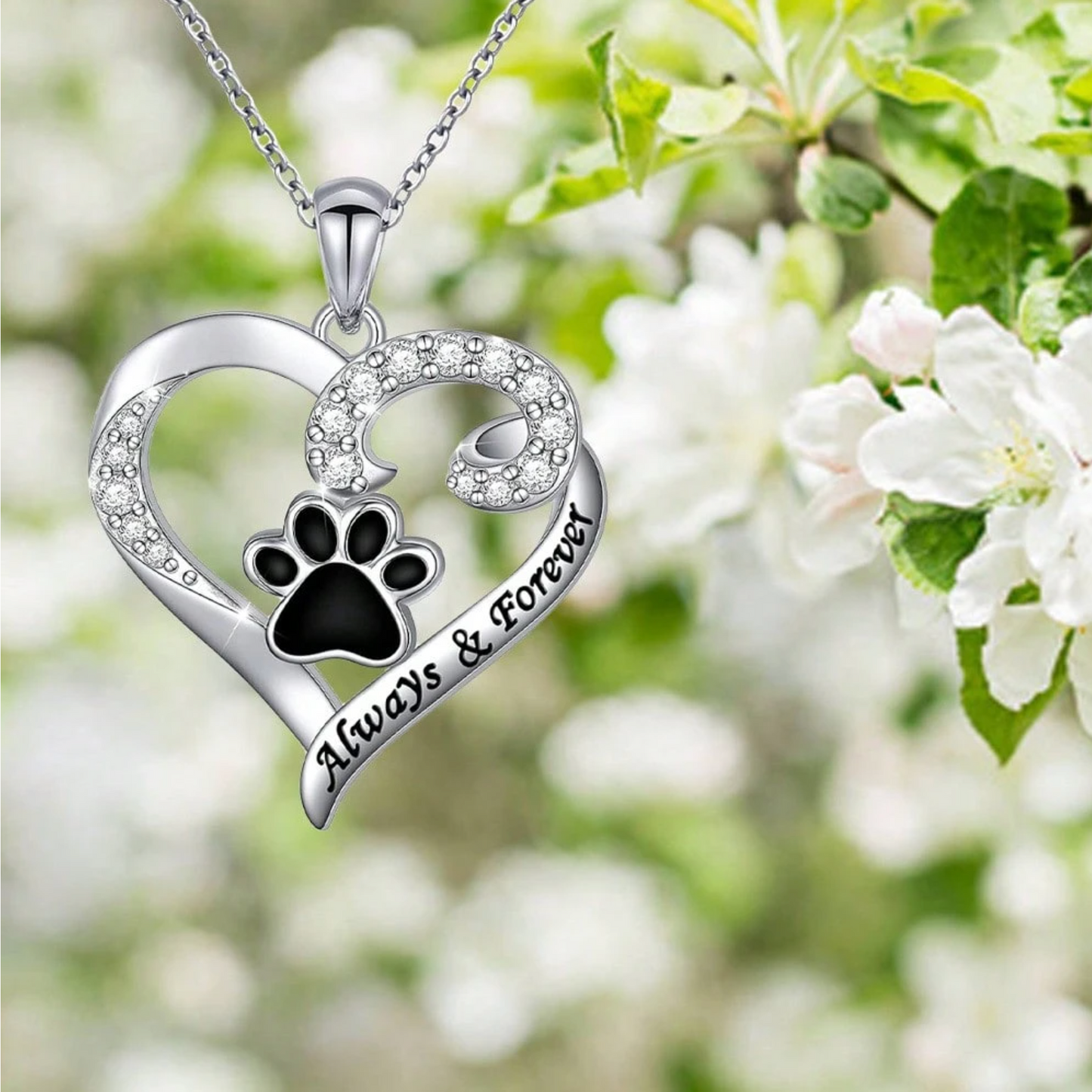 Collar de Pata de Perro