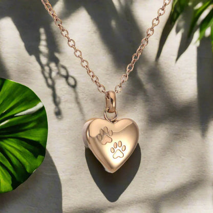 Collar Urna Conmemorativo para Mascotas